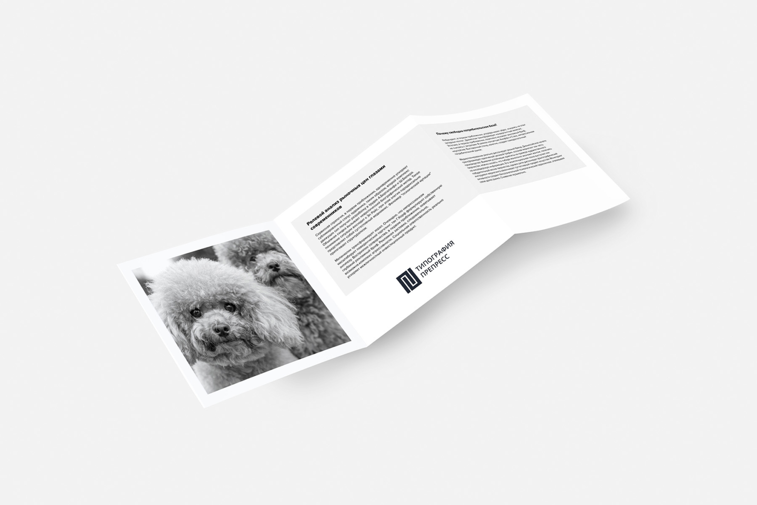 Печать буклетов в Пушкине и СПб.